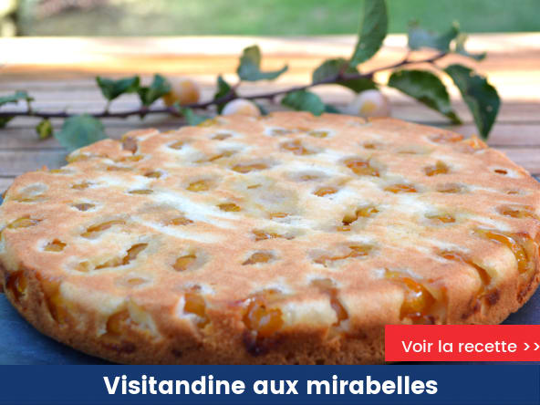 Visitandine aux mirabelles